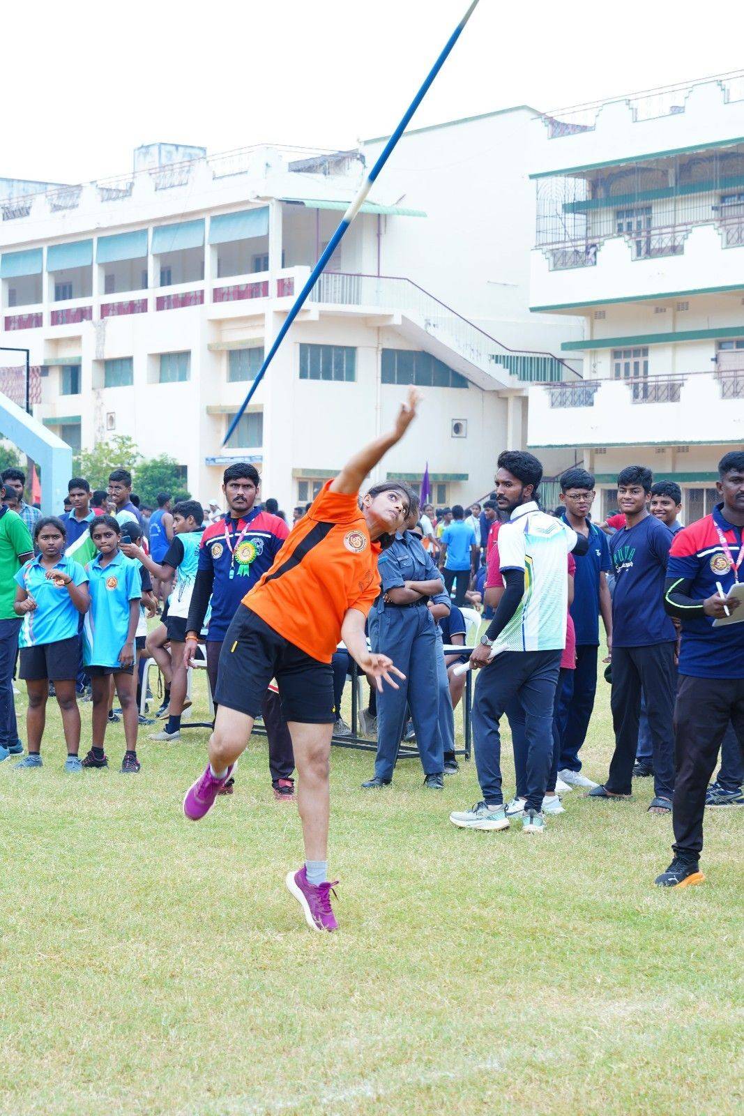 Cricket